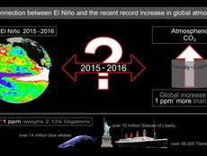 Connection between El Nino and global CO2