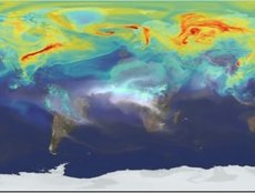A Year in the Life of Earth's CO2