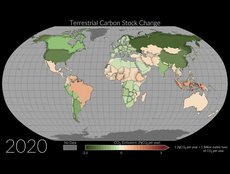 Terrestrial Carbon Stock Change (2015-2020)