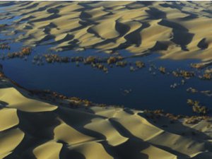 Read article: "Carbon sink" detected underneath world's deserts