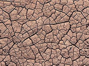 Read article: Heatwaves and drought quelled La Niña's carbon storage benefits