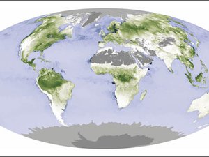 Read article: The Orbiting Carbon Observatory and the Mystery of the Missing Sinks