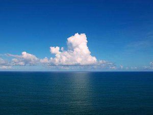 Read article: New climate model better predicts changes to ocean-carbon sink